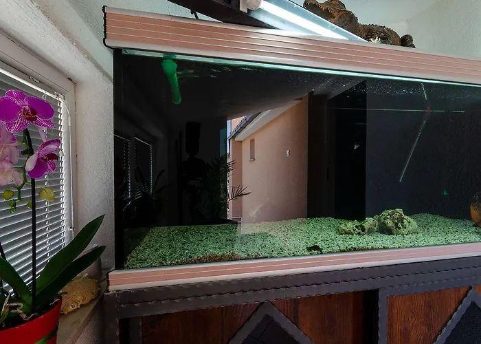 Apartman Lichtdurchflutetes Nur 500 Meter Zum Mit Meerblick, Grill, Parkplatz, Wifi Crikvenica